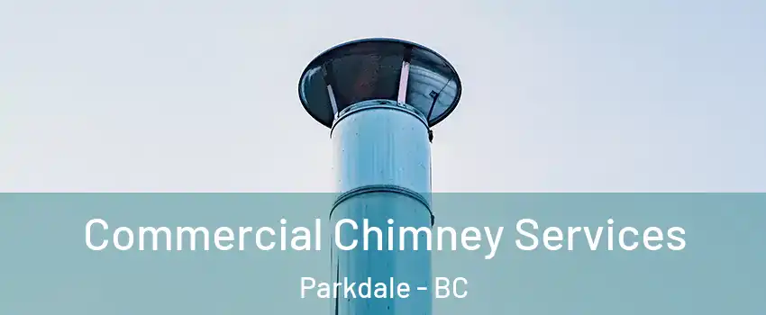  Commercial Chimney Services Parkdale - BC