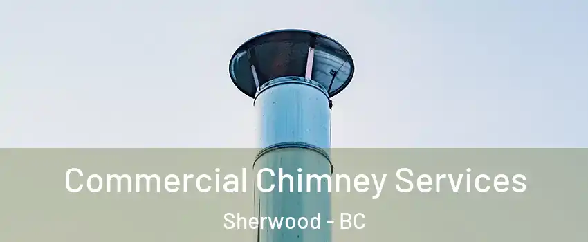  Commercial Chimney Services Sherwood - BC