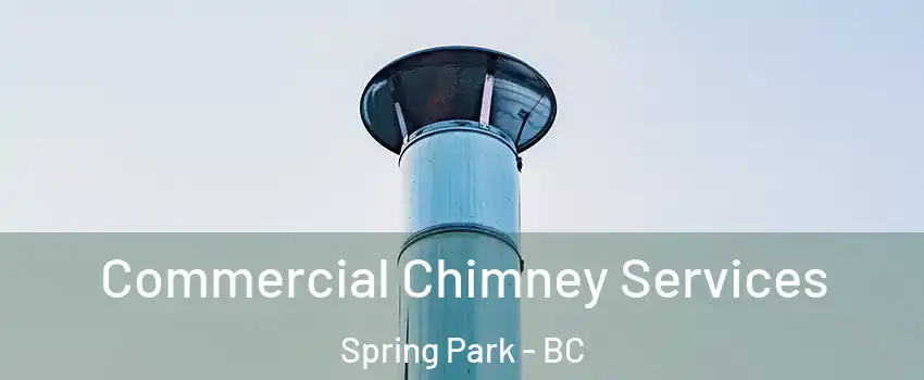  Commercial Chimney Services Spring Park - BC