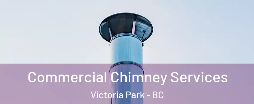  Commercial Chimney Services Victoria Park - BC