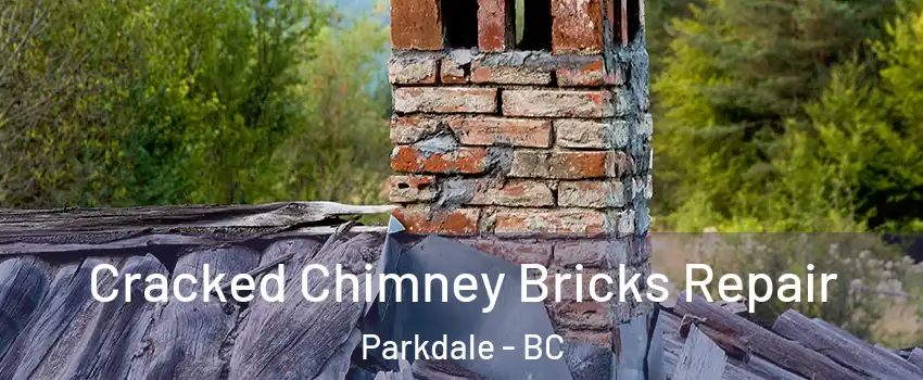 Cracked Chimney Bricks Repair Parkdale - BC