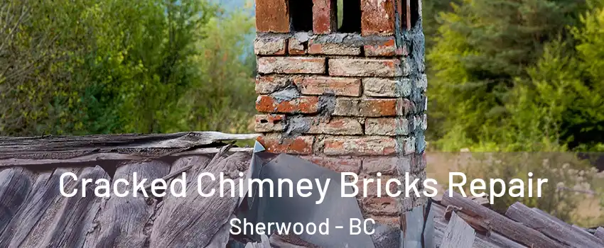 Cracked Chimney Bricks Repair Sherwood - BC