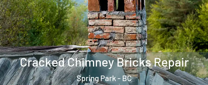  Cracked Chimney Bricks Repair Spring Park - BC