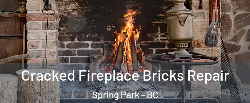  Cracked Fireplace Bricks Repair Spring Park - BC