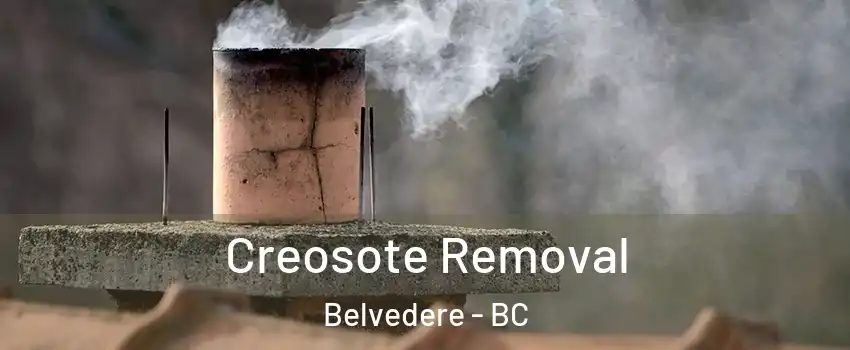  Creosote Removal Belvedere - BC