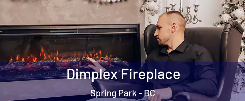  Dimplex Fireplace Spring Park - BC