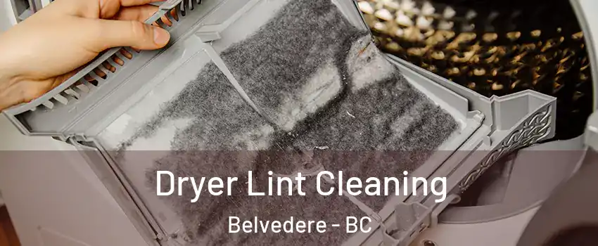  Dryer Lint Cleaning Belvedere - BC