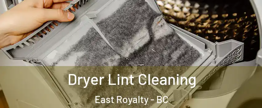  Dryer Lint Cleaning East Royalty - BC