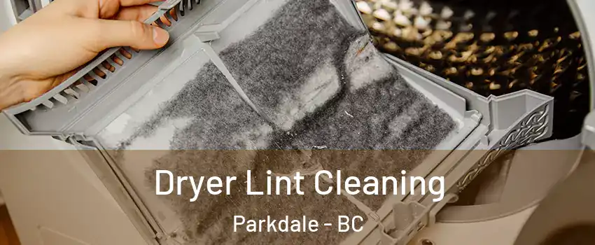  Dryer Lint Cleaning Parkdale - BC