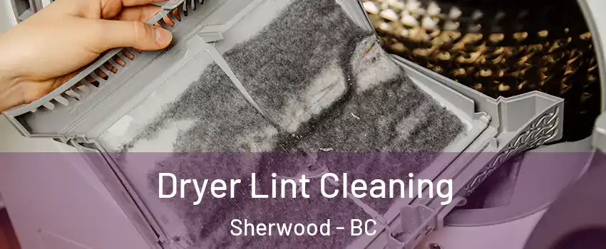  Dryer Lint Cleaning Sherwood - BC