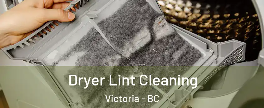  Dryer Lint Cleaning Victoria - BC