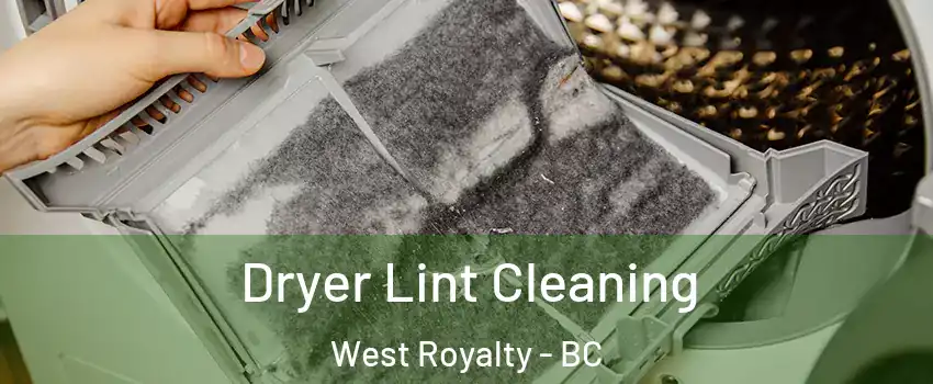  Dryer Lint Cleaning West Royalty - BC