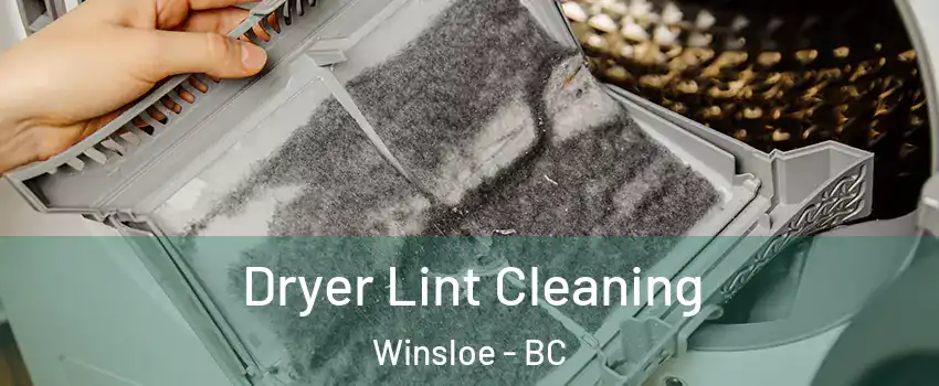  Dryer Lint Cleaning Winsloe - BC