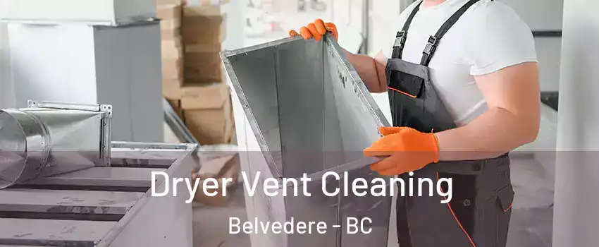 Dryer Vent Cleaning Belvedere - BC