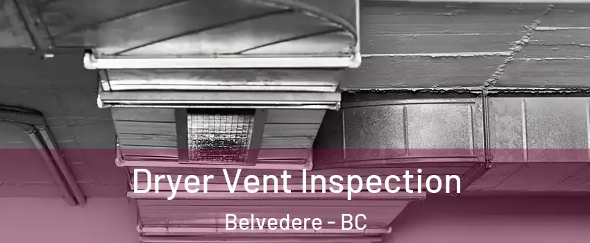  Dryer Vent Inspection Belvedere - BC
