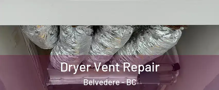  Dryer Vent Repair Belvedere - BC