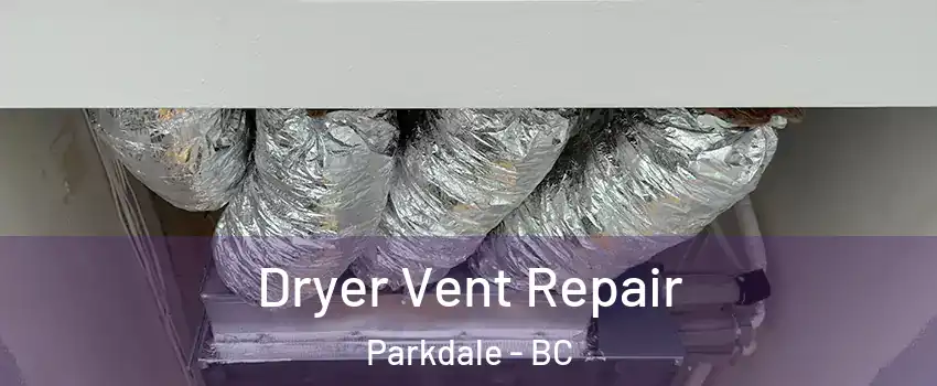 Dryer Vent Repair Parkdale - BC
