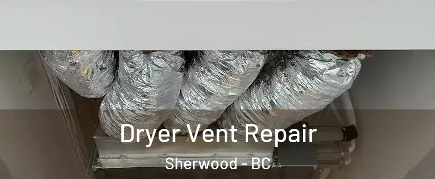 Dryer Vent Repair Sherwood - BC