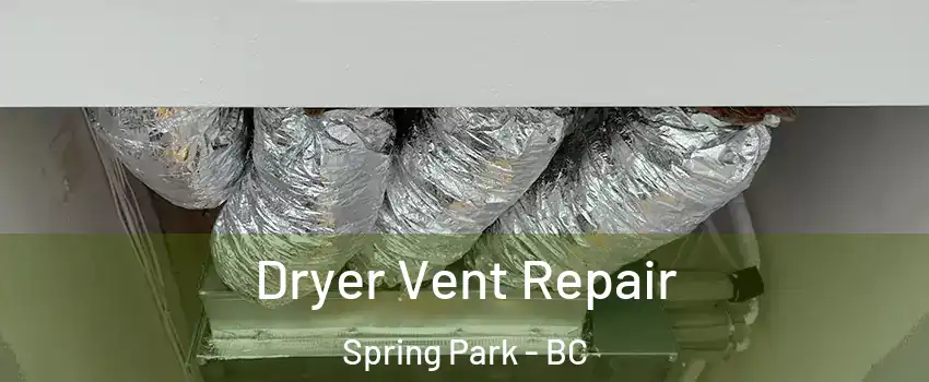 Dryer Vent Repair Spring Park - BC