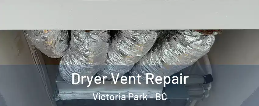  Dryer Vent Repair Victoria Park - BC