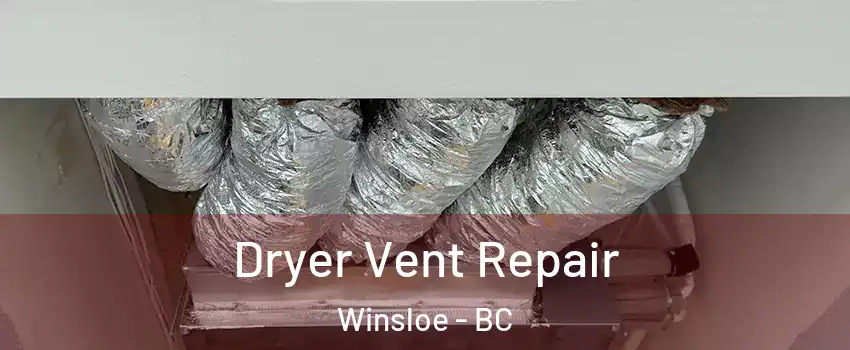  Dryer Vent Repair Winsloe - BC