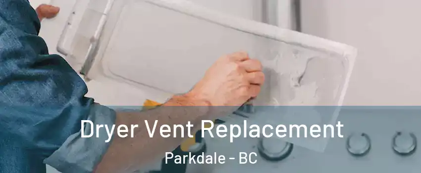  Dryer Vent Replacement Parkdale - BC