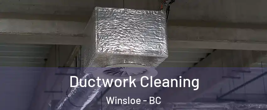  Ductwork Cleaning Winsloe - BC