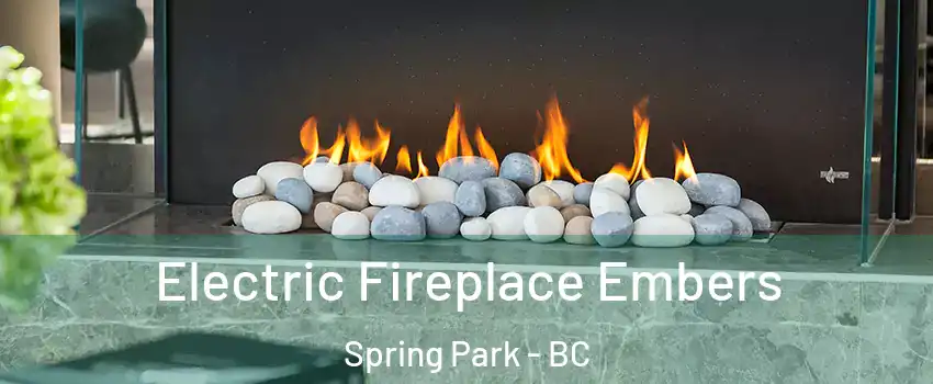  Electric Fireplace Embers Spring Park - BC