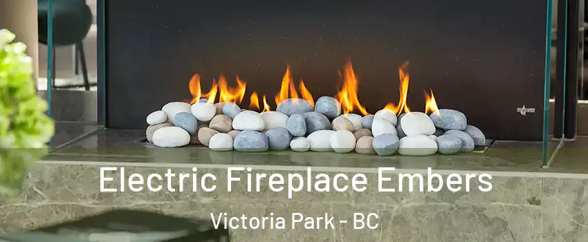 Electric Fireplace Embers Victoria Park - BC