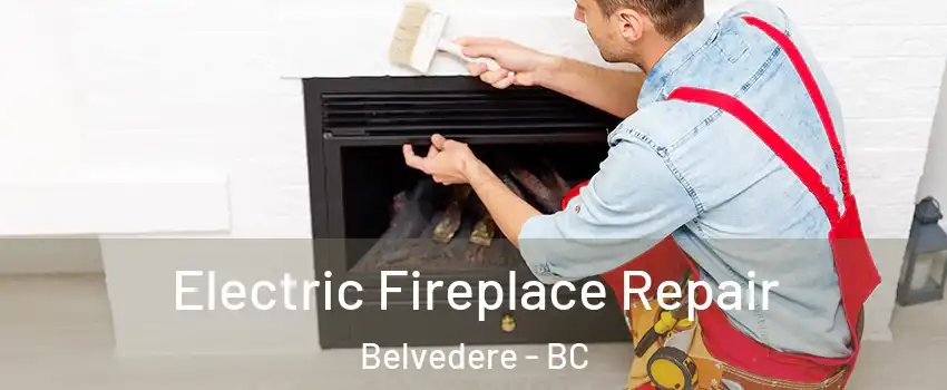  Electric Fireplace Repair Belvedere - BC