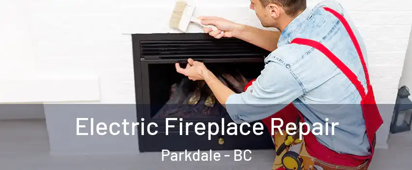  Electric Fireplace Repair Parkdale - BC