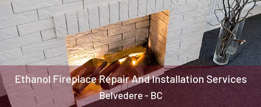  Ethanol Fireplace Repair And Installation Services Belvedere - BC
