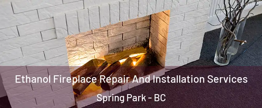  Ethanol Fireplace Repair And Installation Services Spring Park - BC