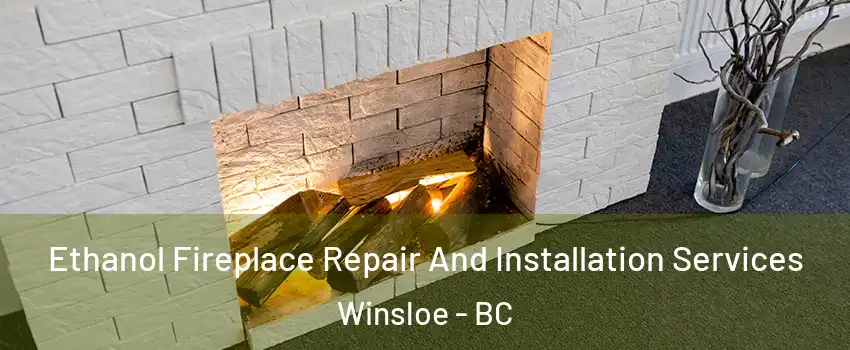  Ethanol Fireplace Repair And Installation Services Winsloe - BC