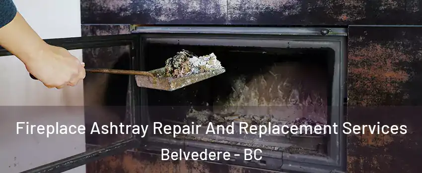 Fireplace Ashtray Repair And Replacement Services Belvedere - BC