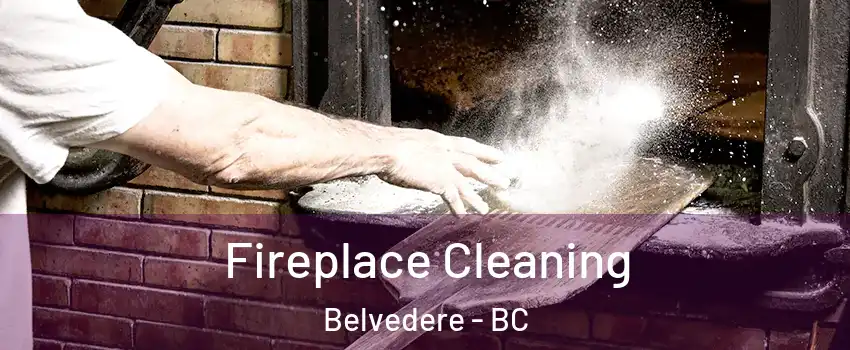  Fireplace Cleaning Belvedere - BC