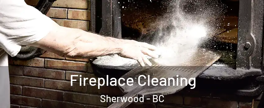  Fireplace Cleaning Sherwood - BC
