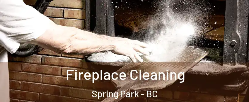  Fireplace Cleaning Spring Park - BC