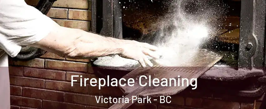  Fireplace Cleaning Victoria Park - BC