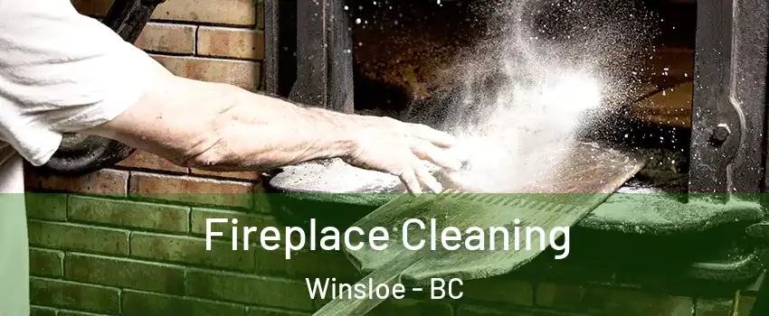  Fireplace Cleaning Winsloe - BC