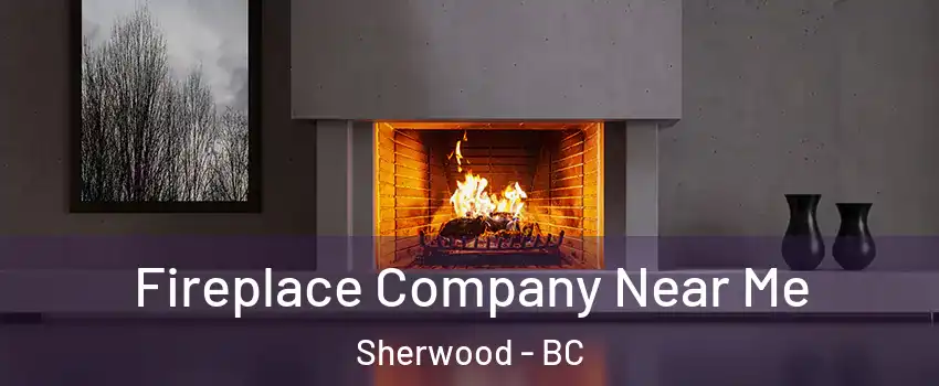  Fireplace Company Near Me Sherwood - BC