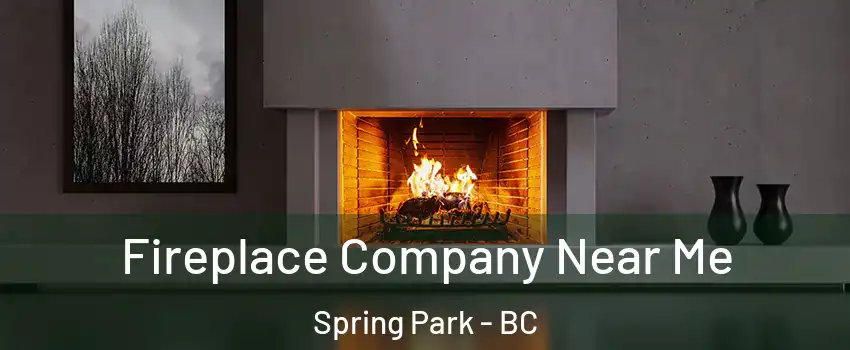 Fireplace Company Near Me Spring Park - BC