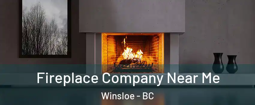  Fireplace Company Near Me Winsloe - BC