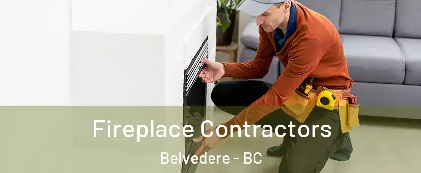  Fireplace Contractors Belvedere - BC