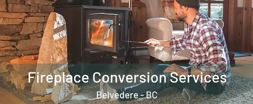  Fireplace Conversion Services Belvedere - BC
