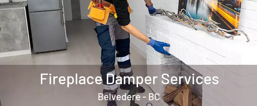 Fireplace Damper Services Belvedere - BC