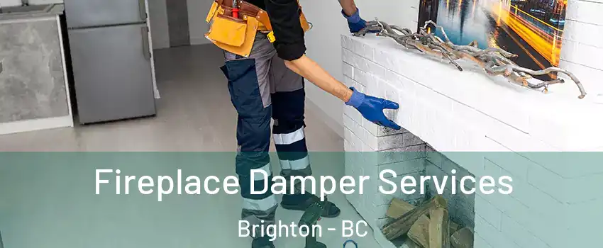  Fireplace Damper Services Brighton - BC