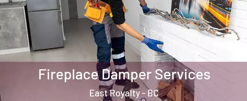  Fireplace Damper Services East Royalty - BC