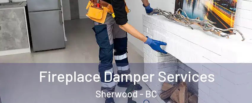  Fireplace Damper Services Sherwood - BC