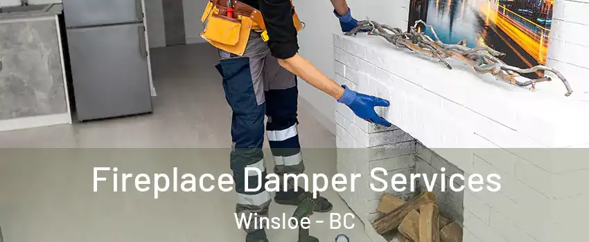 Fireplace Damper Services Winsloe - BC
